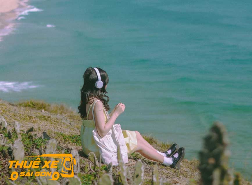 Cảnh đẹp Hoa Vàng Cỏ Xanh