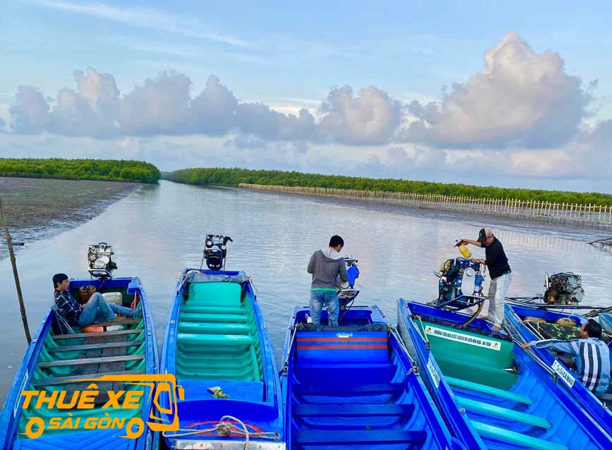 Bạt ngàn rừng tràm Cà Mau