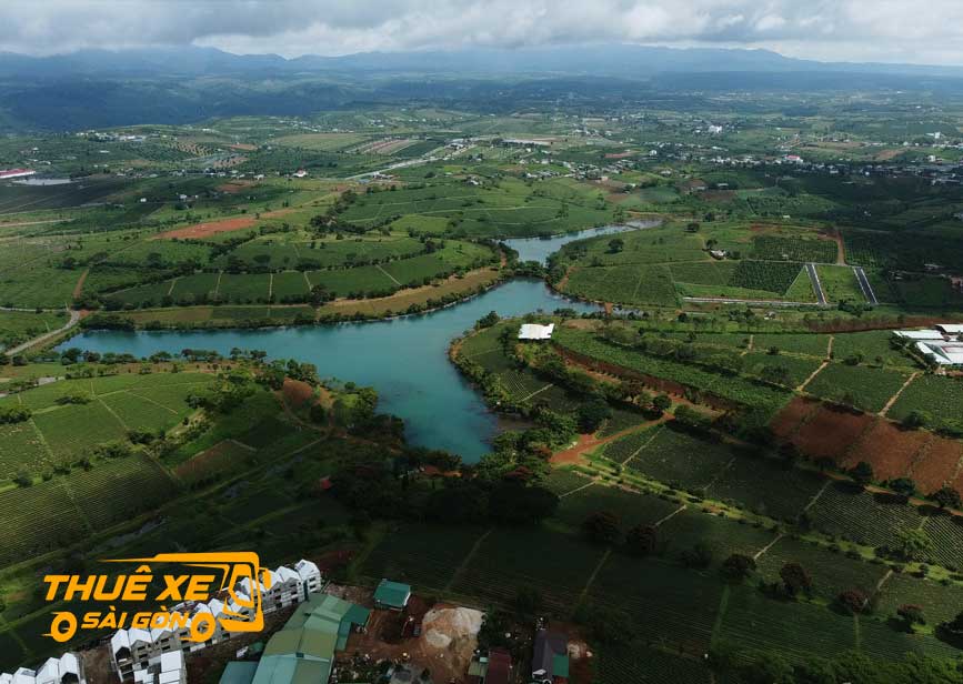 Cảnh đẹp Đồi Chè Tâm Châu
