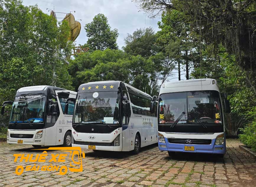 Giá thuê xe 45 chỗ đi Cẩm Mỹ