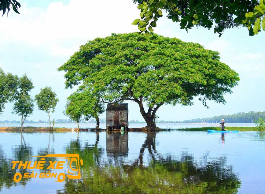 Cảnh đẹp Châu Phú mùa nước nổi
