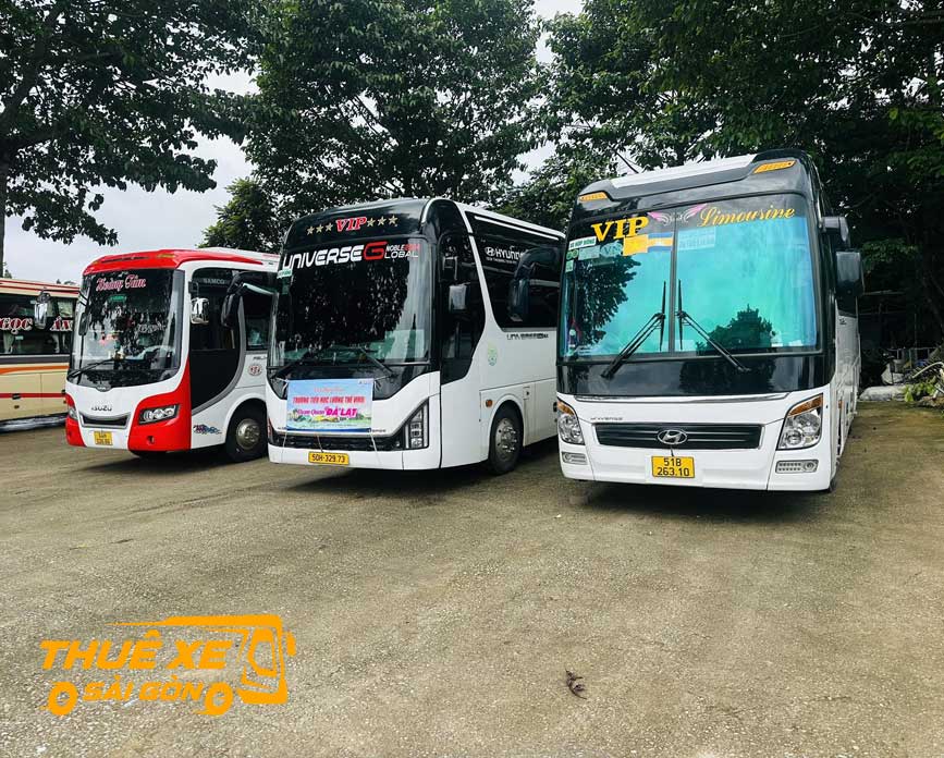 Tham khảo giá thuê xe đi Cù Lao Mái Nhà