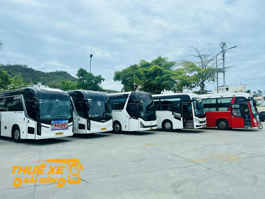 Đa dạng cac dòng xe đi Tam Nông