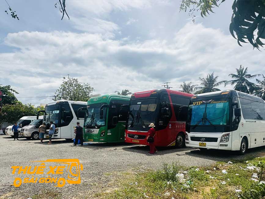 Đa dạng các dòng xe đi Cát Tiên