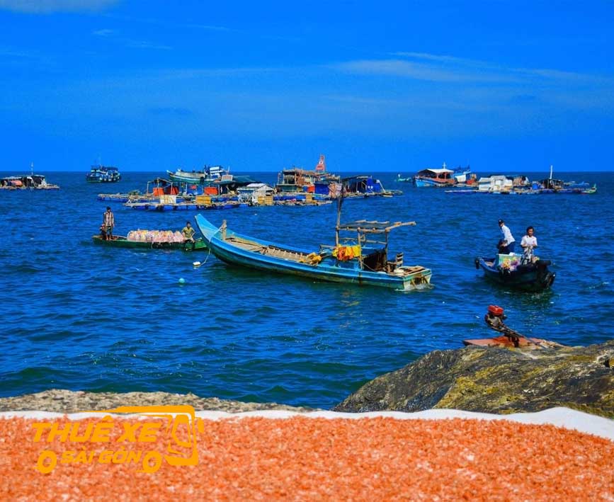 Tôm được phơi khô trên cảng sông Ông Đốc