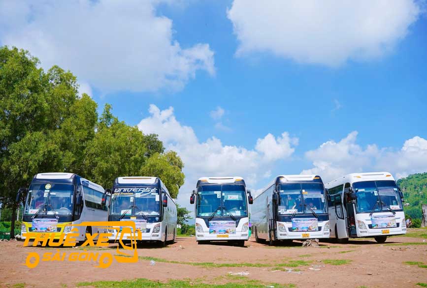 Nhiều dòng xe phục vụ dịp cuối năm