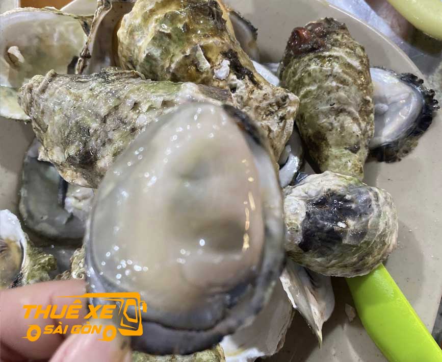 Đặc sản hào Phước Hải