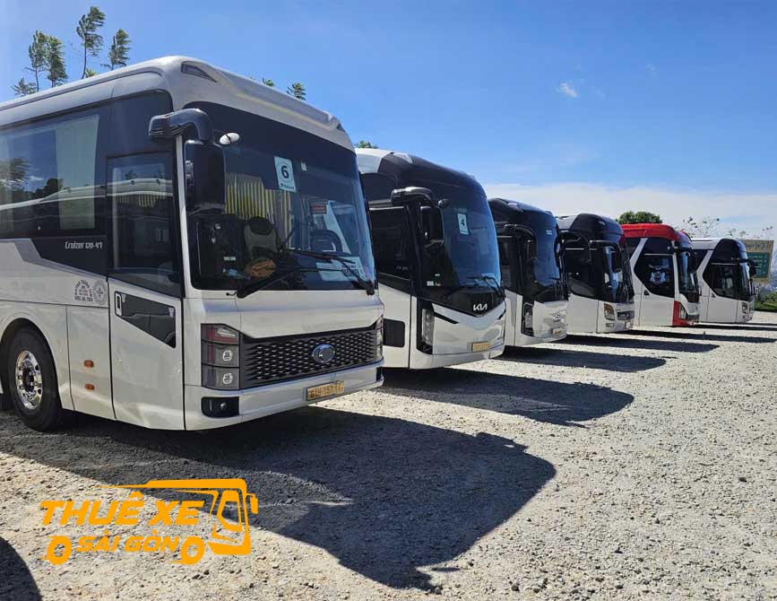Trải nghiệm các tour sông nước miệt vườn