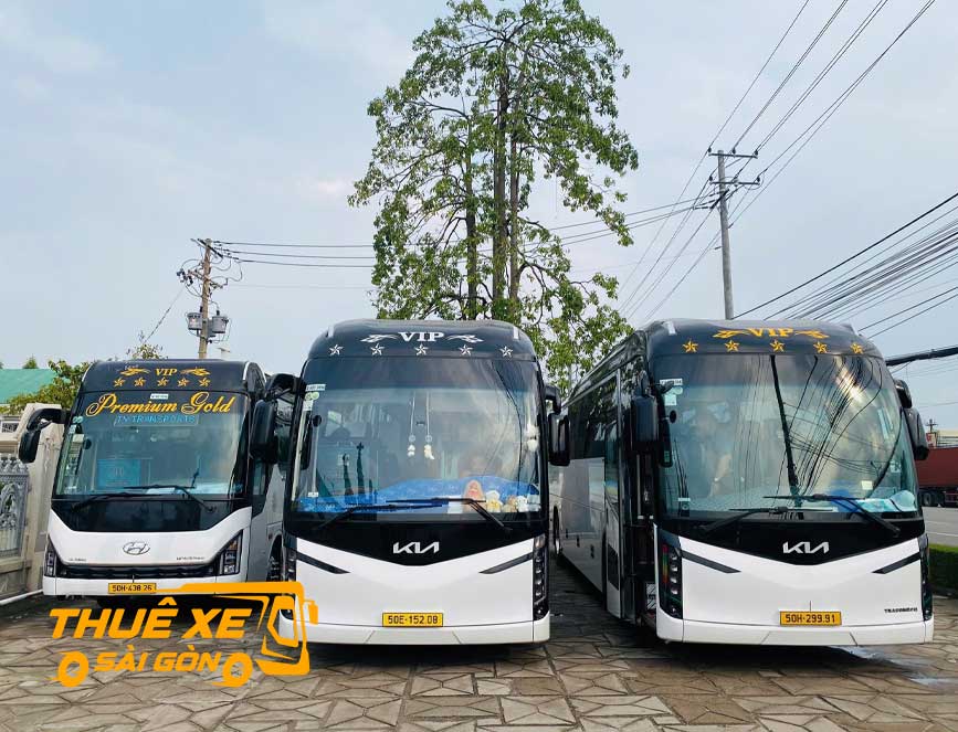 Xe du lịch phục vụ đón rước tàu biển