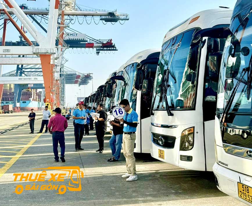 Đón du khách cho chuyến tham quan từ cảng Phú Mỹ